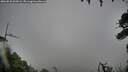 ./images/calvert/fitz-hugh-hecate/20260830/fitz-hugh-hecate20260830_065001M.jpg