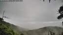 ./images/calvert/fitz-hugh-hecate/20260830/fitz-hugh-hecate20260830_080001M.jpg