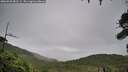 ./images/calvert/fitz-hugh-hecate/20260830/fitz-hugh-hecate20260830_081501M.jpg