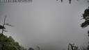 ./images/calvert/fitz-hugh-hecate/20260830/fitz-hugh-hecate20260830_100001M.jpg
