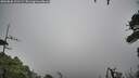 ./images/calvert/fitz-hugh-hecate/20260830/fitz-hugh-hecate20260830_121501M.jpg