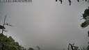 ./images/calvert/fitz-hugh-hecate/20260830/fitz-hugh-hecate20260830_160001M.jpg