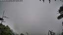./images/calvert/fitz-hugh-hecate/20260830/fitz-hugh-hecate20260830_162501M.jpg