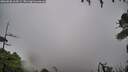 ./images/calvert/fitz-hugh-hecate/20260830/fitz-hugh-hecate20260830_164502M.jpg