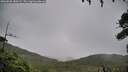 ./images/calvert/fitz-hugh-hecate/20260830/fitz-hugh-hecate20260830_180501M.jpg