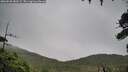 ./images/calvert/fitz-hugh-hecate/20260830/fitz-hugh-hecate20260830_183502M.jpg