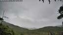 ./images/calvert/fitz-hugh-hecate/20260830/fitz-hugh-hecate20260830_184502M.jpg