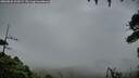 ./images/calvert/fitz-hugh-hecate/20260830/fitz-hugh-hecate20260830_202002M.jpg