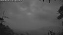 ./images/calvert/fitz-hugh-hecate/20260830/fitz-hugh-hecate20260830_205501M.jpg