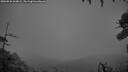./images/calvert/fitz-hugh-hecate/20260831/fitz-hugh-hecate20260831_063001M.jpg