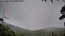 ./images/calvert/fitz-hugh-hecate/20260831/fitz-hugh-hecate20260831_070001M.jpg
