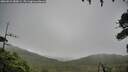 ./images/calvert/fitz-hugh-hecate/20260831/fitz-hugh-hecate20260831_080001M.jpg