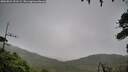 ./images/calvert/fitz-hugh-hecate/20260831/fitz-hugh-hecate20260831_131502M.jpg
