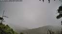 ./images/calvert/fitz-hugh-hecate/20260831/fitz-hugh-hecate20260831_134002M.jpg