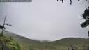 ./images/calvert/fitz-hugh-hecate/20260831/fitz-hugh-hecate20260831_155501M.jpg