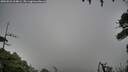 ./images/calvert/fitz-hugh-hecate/20260831/fitz-hugh-hecate20260831_164002M.jpg