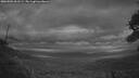 ./images/calvert/fitz-hugh-hecate/20260901/fitz-hugh-hecate20260901_061501M.jpg