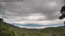 ./images/calvert/fitz-hugh-hecate/20260901/fitz-hugh-hecate20260901_074501M.jpg
