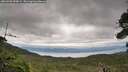 ./images/calvert/fitz-hugh-hecate/20260901/fitz-hugh-hecate20260901_090001M.jpg