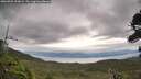 ./images/calvert/fitz-hugh-hecate/20260901/fitz-hugh-hecate20260901_100001M.jpg