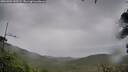 ./images/calvert/fitz-hugh-hecate/20260901/fitz-hugh-hecate20260901_130502M.jpg