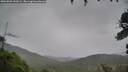 ./images/calvert/fitz-hugh-hecate/20260901/fitz-hugh-hecate20260901_141002M.jpg
