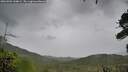 ./images/calvert/fitz-hugh-hecate/20260901/fitz-hugh-hecate20260901_144001M.jpg