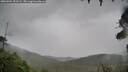 ./images/calvert/fitz-hugh-hecate/20260901/fitz-hugh-hecate20260901_151502M.jpg