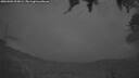 ./images/calvert/fitz-hugh-hecate/20260901/fitz-hugh-hecate20260901_205001M.jpg