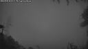 ./images/calvert/fitz-hugh-hecate/20260902/fitz-hugh-hecate20260902_061501M.jpg