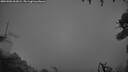 ./images/calvert/fitz-hugh-hecate/20260902/fitz-hugh-hecate20260902_062001M.jpg