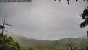 ./images/calvert/fitz-hugh-hecate/20260902/fitz-hugh-hecate20260902_073002M.jpg