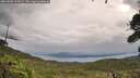 ./images/calvert/fitz-hugh-hecate/20260902/fitz-hugh-hecate20260902_101001M.jpg