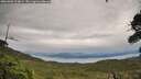 ./images/calvert/fitz-hugh-hecate/20260902/fitz-hugh-hecate20260902_103001M.jpg