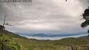 ./images/calvert/fitz-hugh-hecate/20260902/fitz-hugh-hecate20260902_103501M.jpg