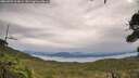 ./images/calvert/fitz-hugh-hecate/20260902/fitz-hugh-hecate20260902_104001M.jpg