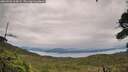 ./images/calvert/fitz-hugh-hecate/20260902/fitz-hugh-hecate20260902_104501M.jpg