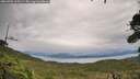 ./images/calvert/fitz-hugh-hecate/20260902/fitz-hugh-hecate20260902_105501M.jpg