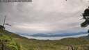 ./images/calvert/fitz-hugh-hecate/20260902/fitz-hugh-hecate20260902_110001M.jpg