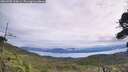 ./images/calvert/fitz-hugh-hecate/20260902/fitz-hugh-hecate20260902_114001M.jpg