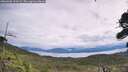 ./images/calvert/fitz-hugh-hecate/20260902/fitz-hugh-hecate20260902_114501M.jpg