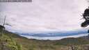 ./images/calvert/fitz-hugh-hecate/20260902/fitz-hugh-hecate20260902_115001M.jpg