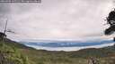 ./images/calvert/fitz-hugh-hecate/20260902/fitz-hugh-hecate20260902_115501M.jpg