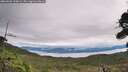 ./images/calvert/fitz-hugh-hecate/20260902/fitz-hugh-hecate20260902_120002M.jpg