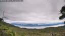 ./images/calvert/fitz-hugh-hecate/20260902/fitz-hugh-hecate20260902_120501M.jpg