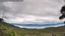 ./images/calvert/fitz-hugh-hecate/20260902/fitz-hugh-hecate20260902_125502M.jpg