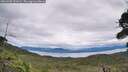 ./images/calvert/fitz-hugh-hecate/20260902/fitz-hugh-hecate20260902_131001M.jpg