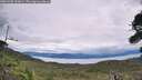 ./images/calvert/fitz-hugh-hecate/20260902/fitz-hugh-hecate20260902_133001M.jpg