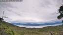 ./images/calvert/fitz-hugh-hecate/20260902/fitz-hugh-hecate20260902_135001M.jpg