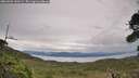./images/calvert/fitz-hugh-hecate/20260902/fitz-hugh-hecate20260902_140501M.jpg